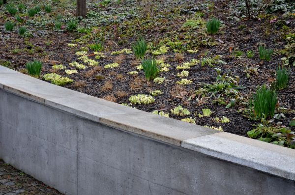 Cost of Walls Pouring Service in Westminster