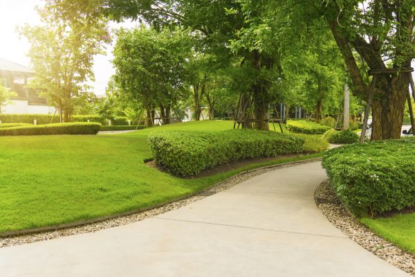 Cost of Walkway Concrete Installation in Westminster