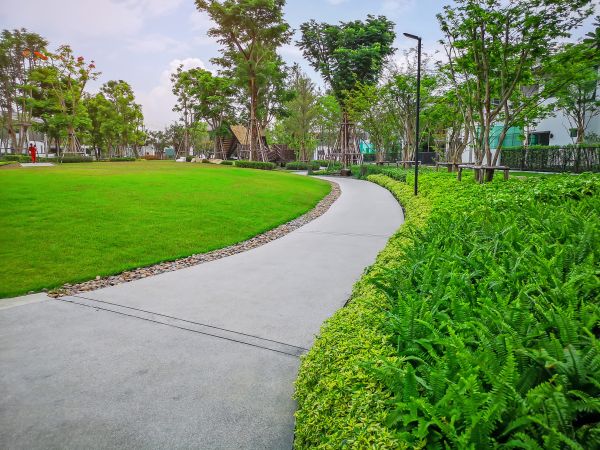 Cement Walkway Service in Westminster