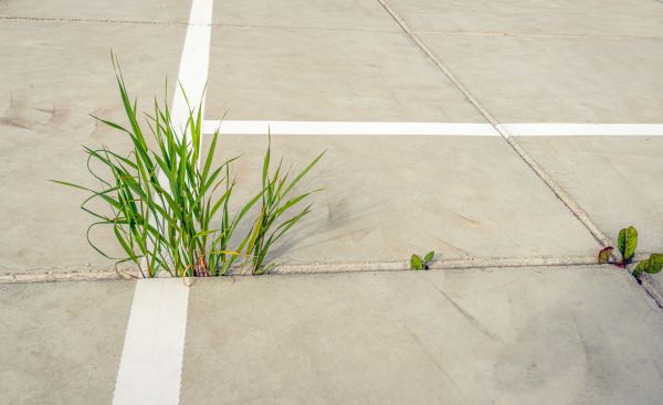 Concrete Parking Installation in Westminster
