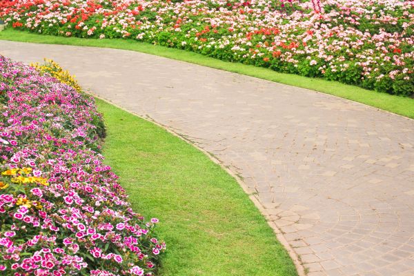 Cost of Concrete Walkway Service in Westminster