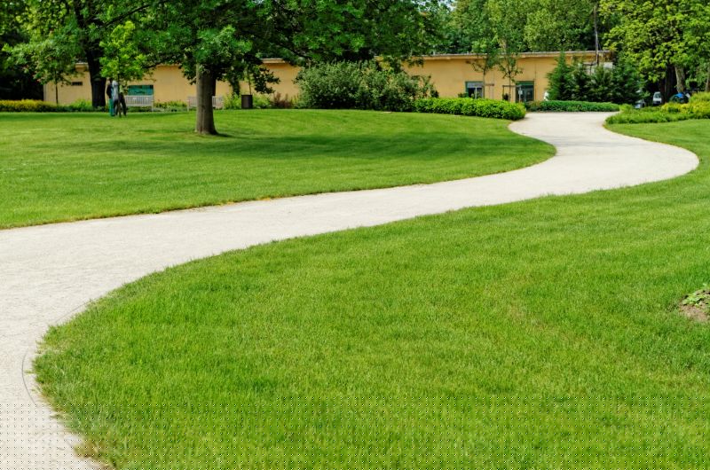Backyard Sidewalk Installation